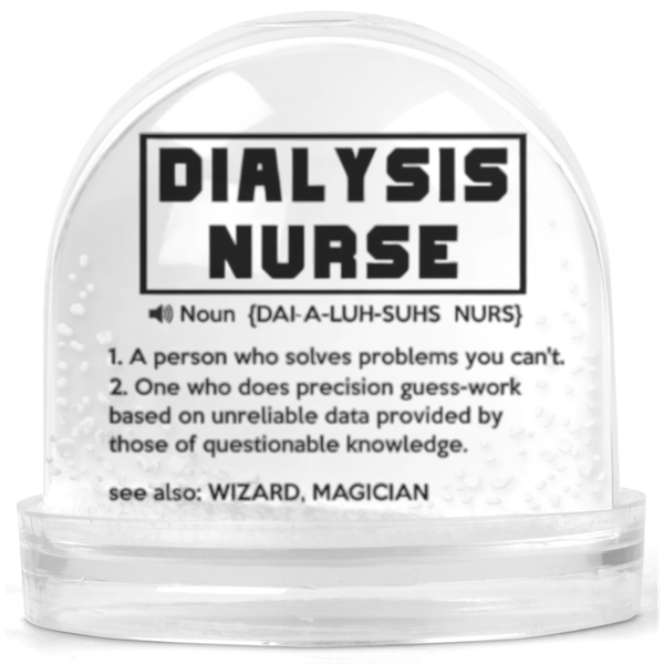 Dialyis Nurse Noun Gift Snow Globe