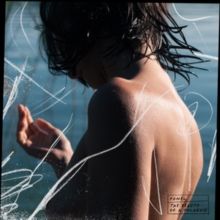 The Beauty of a Polaroid (Vinyl / 12" Album)