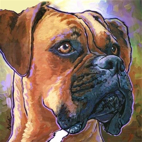 Paint by Numbers for Adults Good ol' Boxer Shop Today. Get it