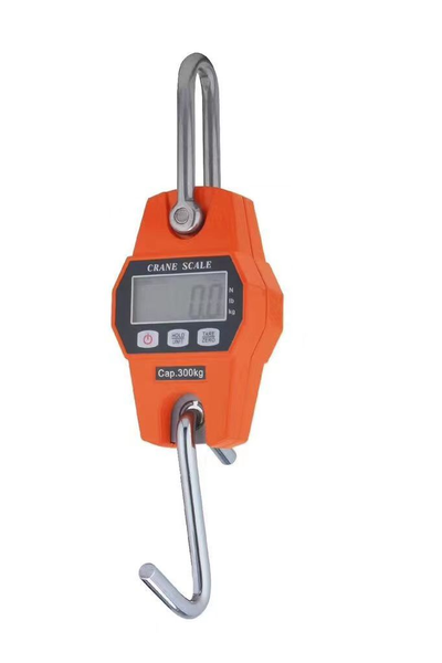 300KG Portable Crane Scale, Bow Scale Strong Load Ability