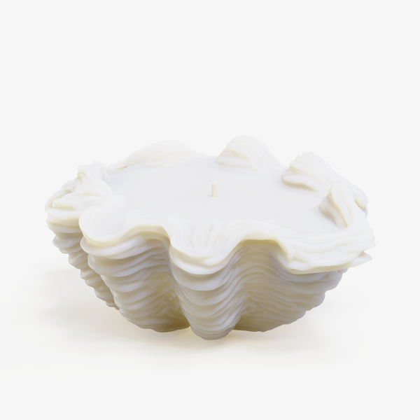Oyster Shell Candle