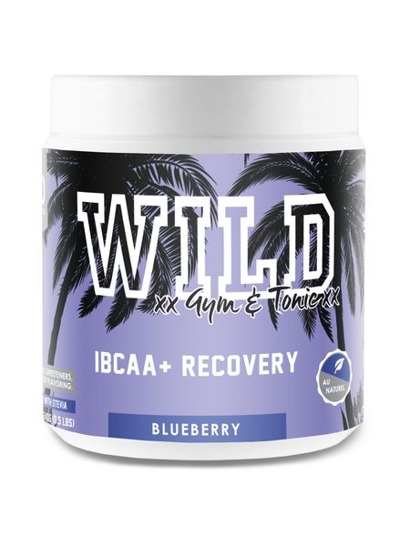 Wild Gym &amp; Tonic IBCAA and Recovery 240g Blueberry