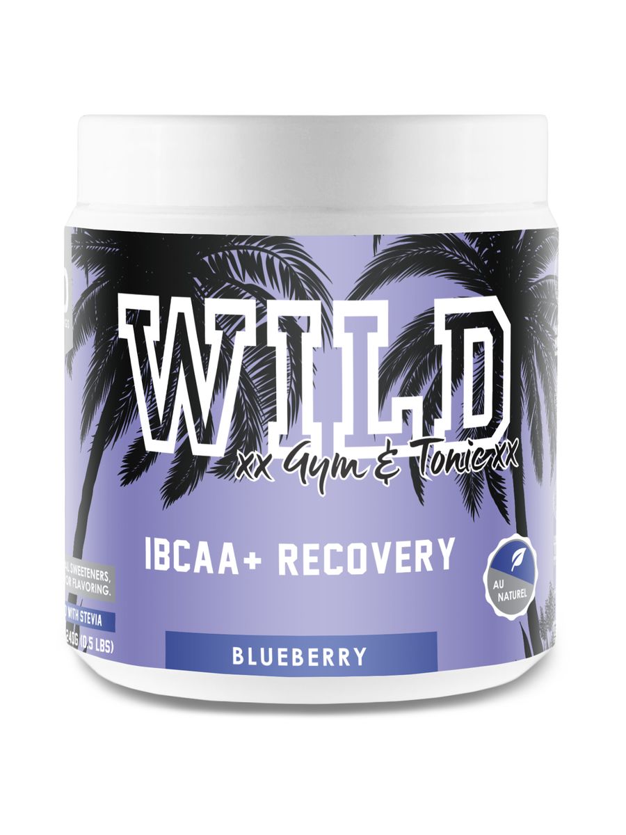 Wild Gym & Tonic IBCAA and Recovery 240g Blueberry