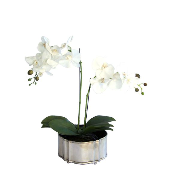 YB Ambiente - French Planter