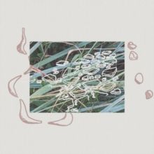 Sculpturegardening (Vinyl / 12" Album)