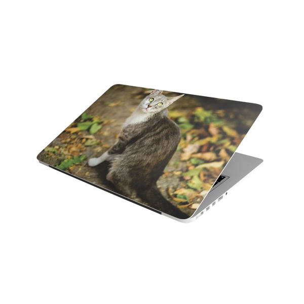 Laptop Skin/Sticker - Grey Cat With Leaves
