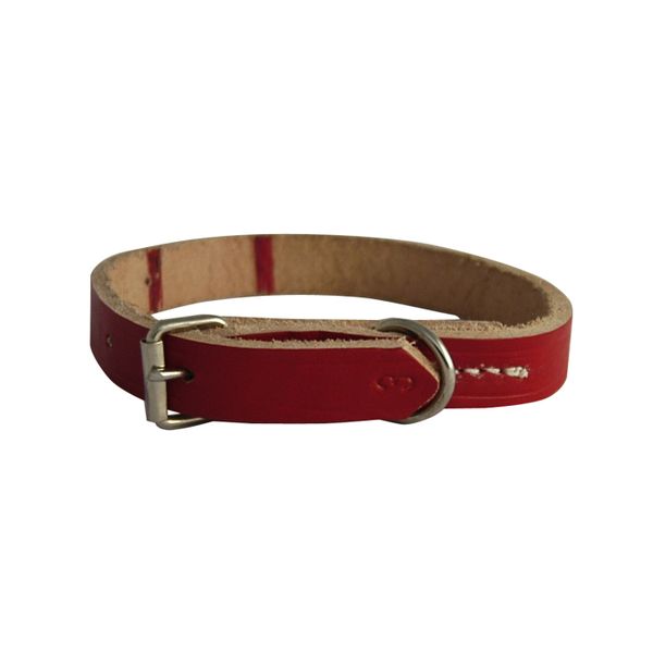 Dog Collar - Assorted Colours - #3 - 17mm x 390mm