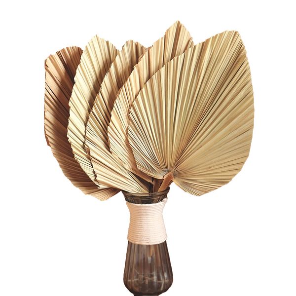 5Pcs 18 Inch Natural Trimmed Palm Spear Tropical Palm Leaves Fans