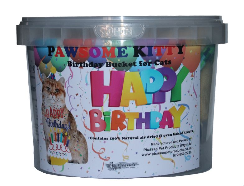 Picasso's - Birthday Bucket for Cats