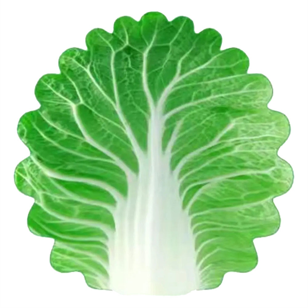 Soft Cabbage Blanket Funny Novelty Blanket 85x85cm