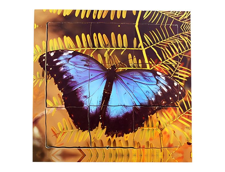 Tray Puzzle - Life Cycles Butterfly