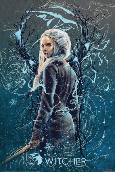 The Witcher (Ciri the Swallow) Poster