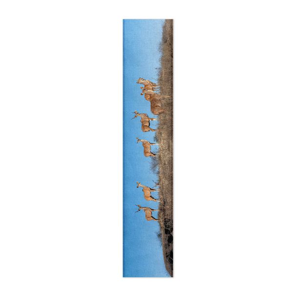 Kudu Herd Table Runner by Fanie Heymans