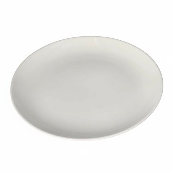 Ceramic Dinner Plates - White - 29cm - Set of 8