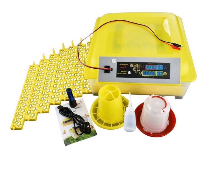 Chicken and Quail Combo Egg Incubator Set with Battery Connection