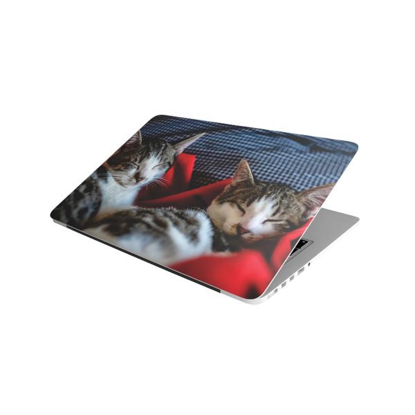 Laptop Skin/Sticker - Cats Red Blanket