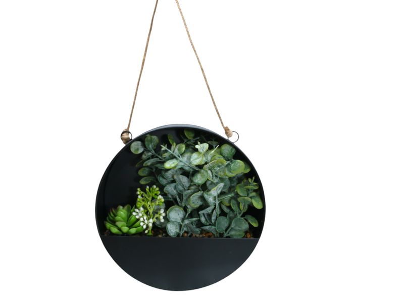 Plant in Box 25 cm