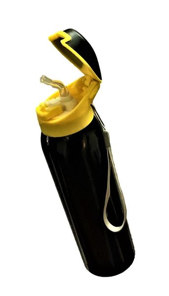 Stainless Steel Water Bottle with Straw &amp; Strap - 500ml