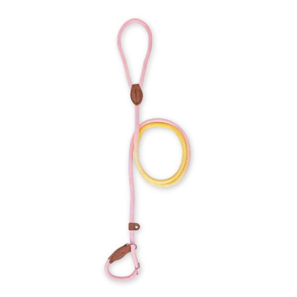 Adjustable Dog Collar Leash - Pink and Yellow Ombre