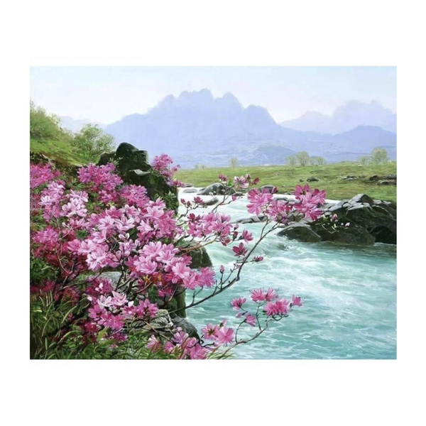 Adult DIY Paint By Numbers Kit - Spring River