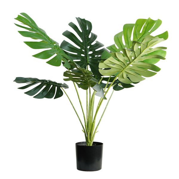 Thumbnail product image - 1