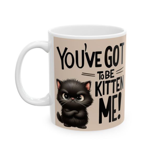 You've Got to be Kitten Me! - Mug