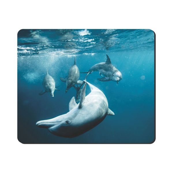 Mouse Pad - Blue Dolphins