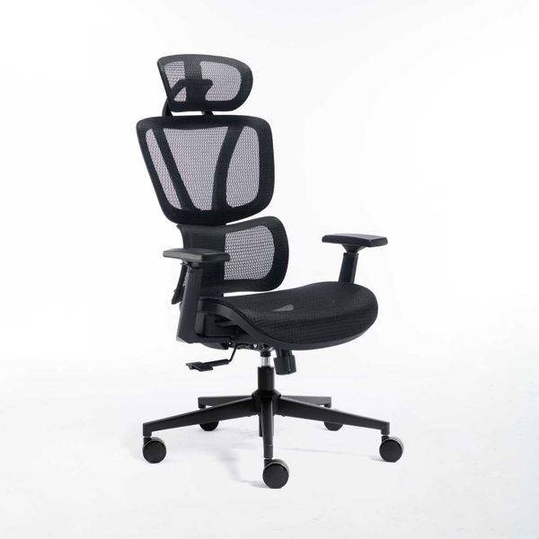 Ergonomic Luxury Executive Office Chair Ah601