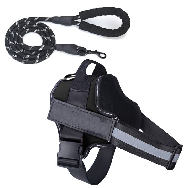 Pet Harness Quality Dog &amp; Lead