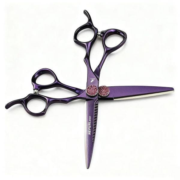 6 Inch Stylish Purple Professional Hair Salon Scissors