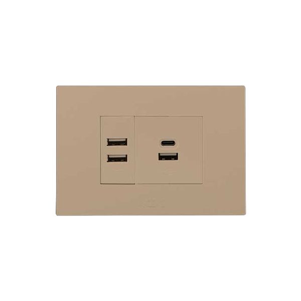 2x 2.1A Usb Charger Outlet 2x4 Champagne Orion