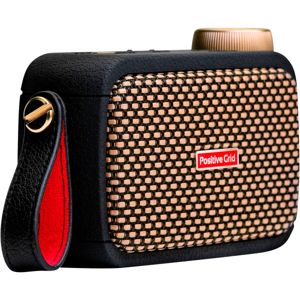 Positive Grid Spark GO