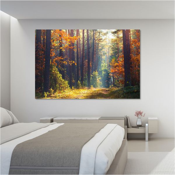 Canvas Wall Art - Autumn Forest - 150cm x 100cm