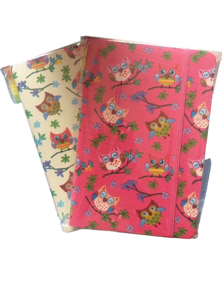 Novelty Note book Assorted (Pack of 2) Shop Today. Get it Tomorrow