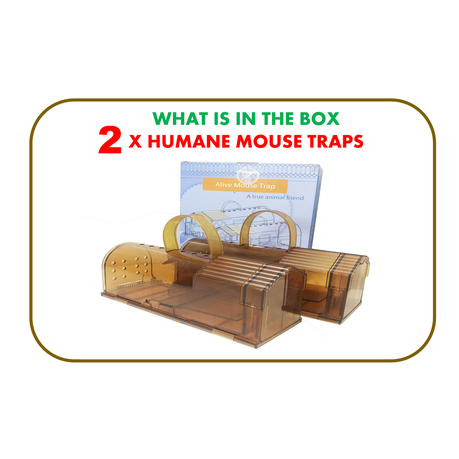 Mouse Motel Plastic Mouse Trap - 2 Pack