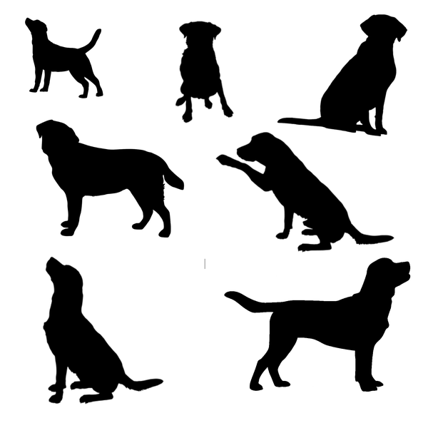 TrendSpire Labrador Vinyl Stickers - Set of 7