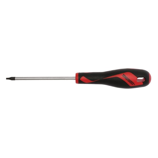 TengTools - TX Screwdriver TX10 x 100mm M - MD910TN