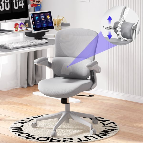 Ergonomic Office Chair with Adjustable Lumbar Office Chair with 2D Armrest