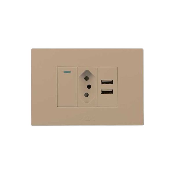 N-Type And Sw With Usb Outlet 2x4 Champagne Orion