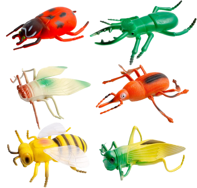 6 Piece Large Realistic Insect Figurines