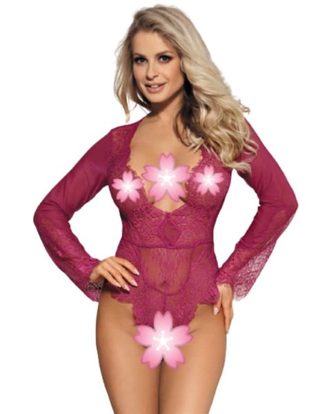 Edendiva's Rose Exquisite Lace Sleeve Teddy - Pink