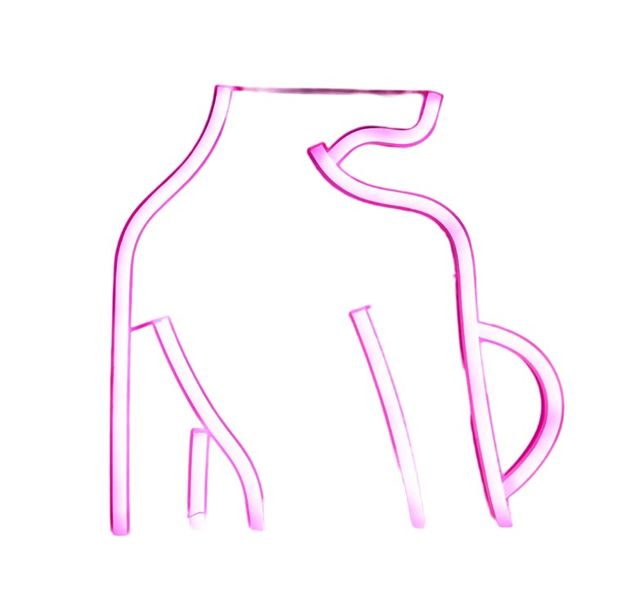 Lady's Back Silhouette Pink Soft Neon Glow For Ambient Lighting