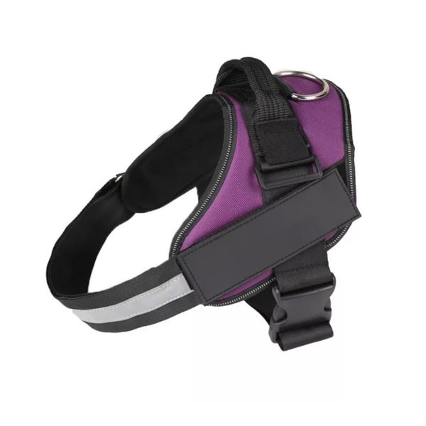 Dog Harness &amp; Lead - Purple