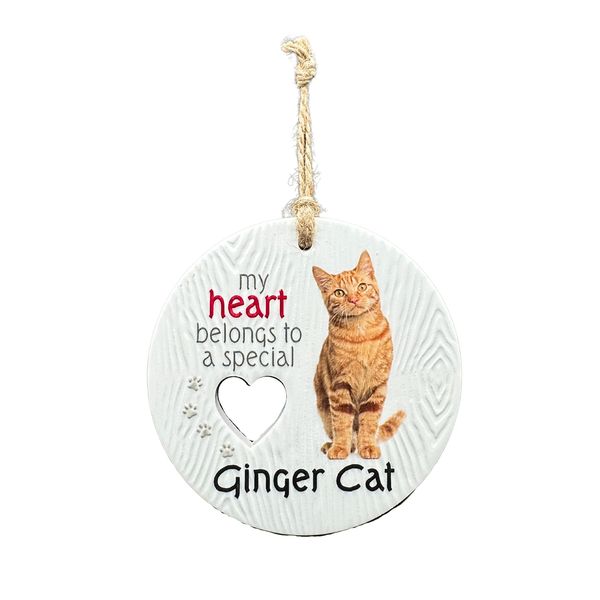 Piece of my Heart Ceramic Plaque - Ginger Cat