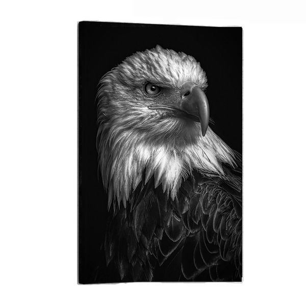 White, Black Soaring Majesty Cotton Canvas cm Animals Wall Art