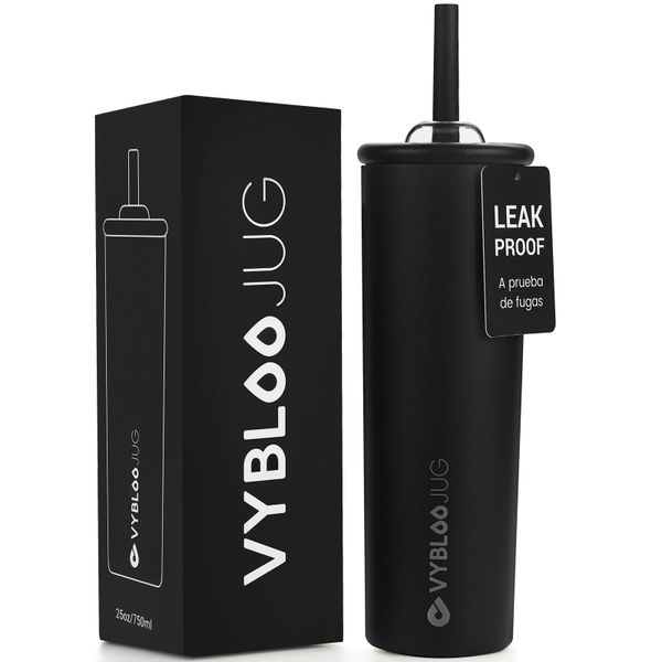 750ml Insulated Tumbler with Straw and Lid Stainless Steel Water Bottle