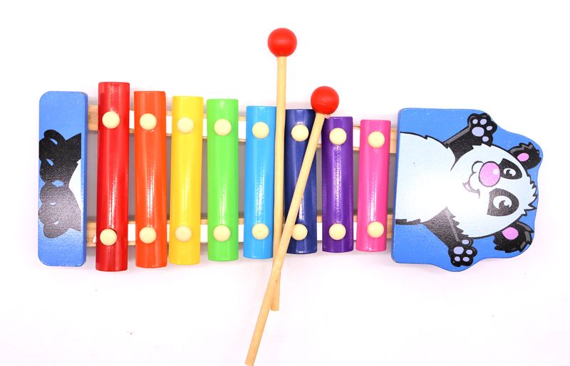 Zoology 8 Sound Organ