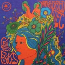 Mirrored Aztec (Vinyl / 12" Album)