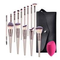 Makeup Brushes - 14 Piece Make-up Brush set with Sponge ...