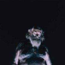 The Great Dismal (Vinyl / 12" Album)